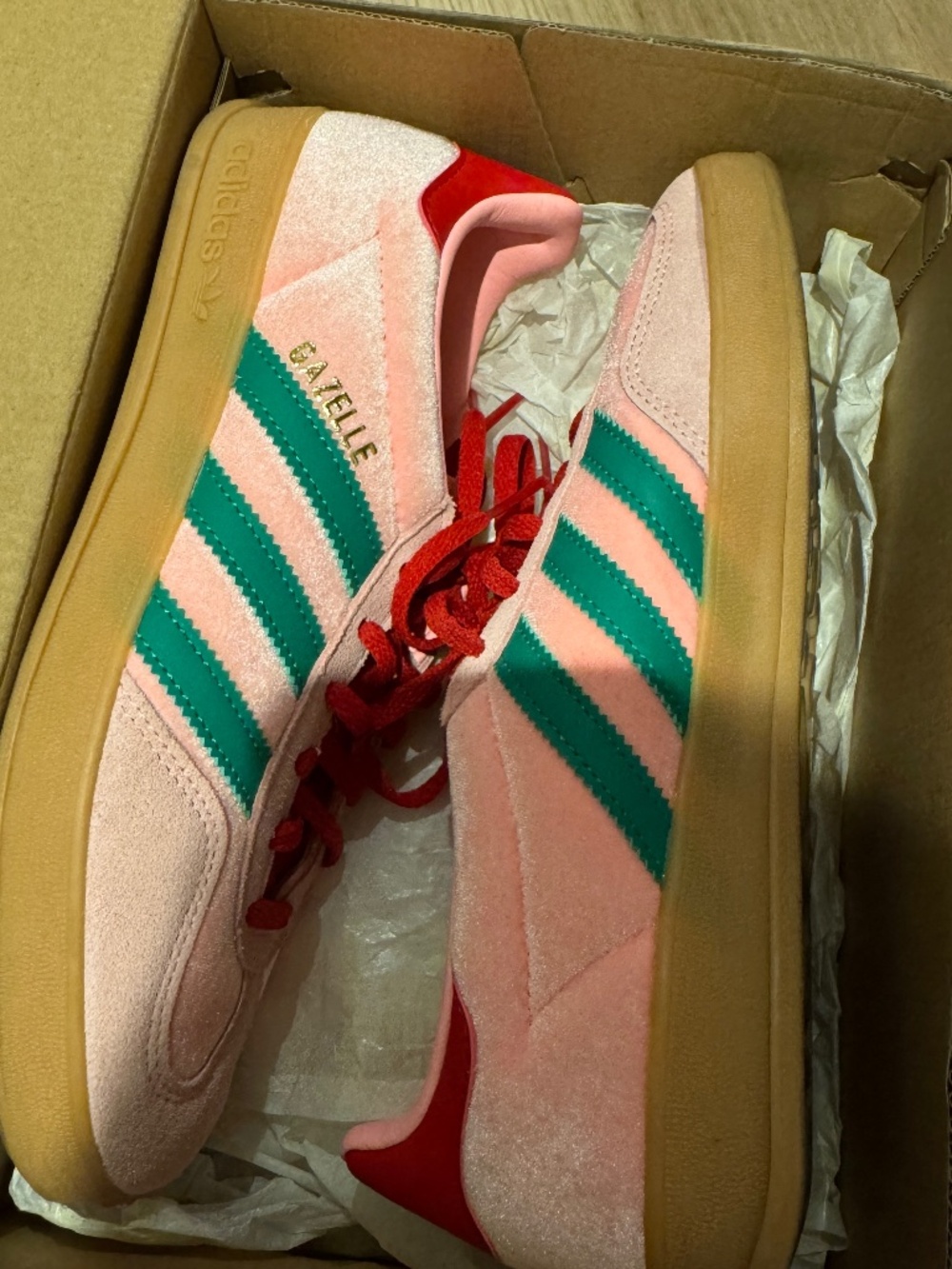 Gazelle indoor - Picture 3 of 4